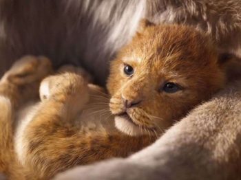 Πρώτο teaser για το Lion King του Jon Favreau