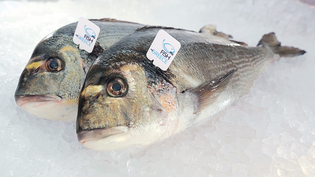 Η σημασία του ψαριού στη διατροφή των παιδιών και 5 ιδέες για να το αγαπήσουν