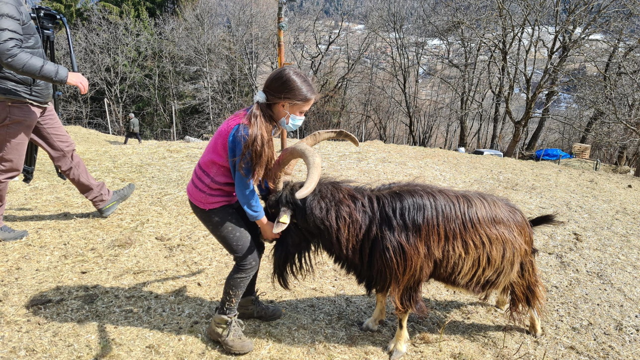 Fiammetta Melis | Η υπέροχη 10χρονη βοσκοπούλα που κάνει τηλεκπαίδευση στα βουνά της Ιταλίας