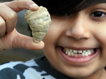 Βρετανία: 6χρονος βρήκε απολίθωμα ηλικίας 500 εκατ. ετών