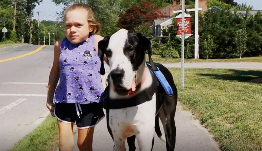 Πώς ένας σκύλος βοηθά ένα κορίτσι με κινητικές δυσκολίες