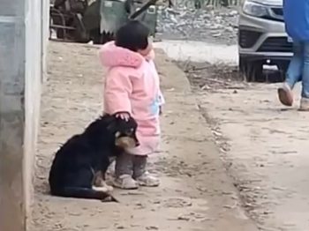 Viral: Καταπληκτικό κοριτσάκι καλύπτει τα αυτιά σκύλου για μη φοβάται τις κροτίδες