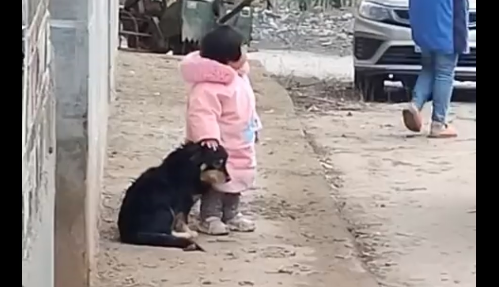Viral: Καταπληκτικό κοριτσάκι καλύπτει τα αυτιά σκύλου για μη φοβάται τις κροτίδες