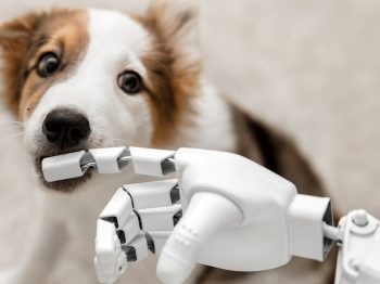 Έφηβη έφτιαξε ρομπότ που χαϊδεύει τον σκύλο όταν λείπει ο ιδιοκτήτης
