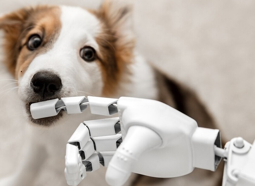 Έφηβη έφτιαξε ρομπότ που χαϊδεύει τον σκύλο όταν λείπει ο ιδιοκτήτης