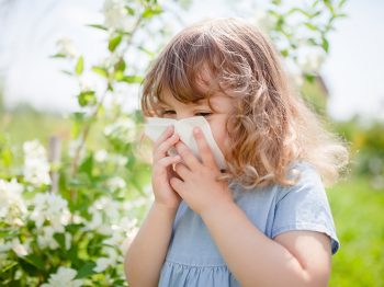 Αλλεργίες του καλοκαιριού: Τι πρέπει να γνωρίζουμε