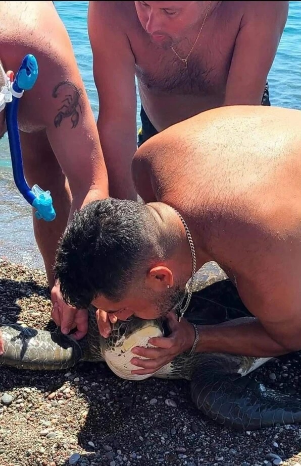 Ρόδος: Συγκλονιστική διάσωση θαλάσσιας χελώνας που είχε μπλεχτεί σε σχοινιά - Δύτης της έκανε τεχνητή αναπνοή