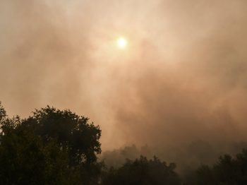 O καπνός από τις δασικές πυρκαγιές και οι επιπτώσεις στην υγεία