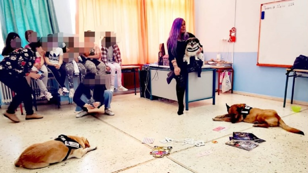 Τρεις σκύλοι που κακοποιήθηκαν διδάσκουν την αγάπη στα σχολεία