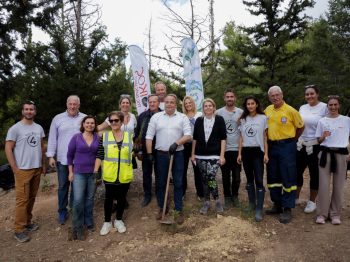 Η We4all και η εταιρεία Βίκος μας ενέπνευσαν και γίναμε εθελοντές. Μαζί φυτέψαμε 150.000 δέντρα