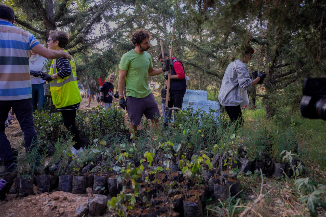 Η We4all και η εταιρεία Βίκος μας ενέπνευσαν και γίναμε εθελοντές. Μαζί φυτέψαμε 150.000 δέντρα