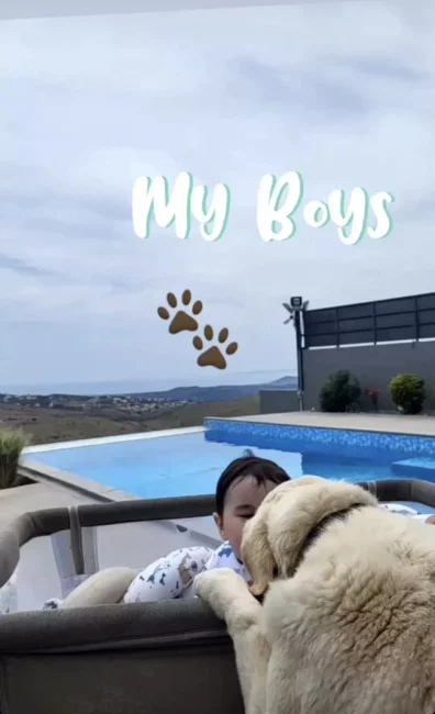 Λεωνίδας Κουτσόπουλος: Δείχνει σε μια φωτογραφία την υπέροχη σχέση που έχει ο 8μηνών γιος του με τον σκύλο της οικογένειας