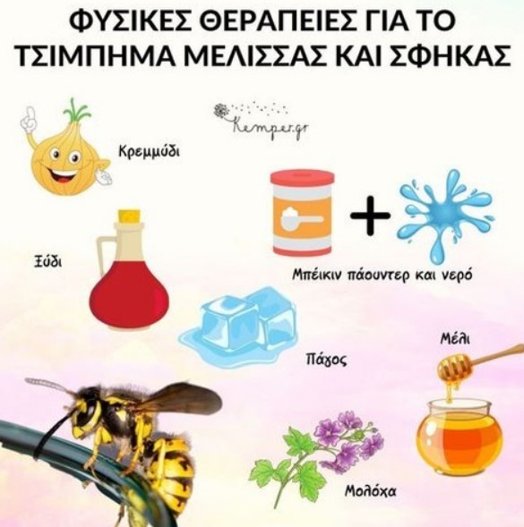 Πώς φροντίζουμε το τσίμπημα μέλισσας και σφήκας σε παιδιά με φυσικό τρόπο;