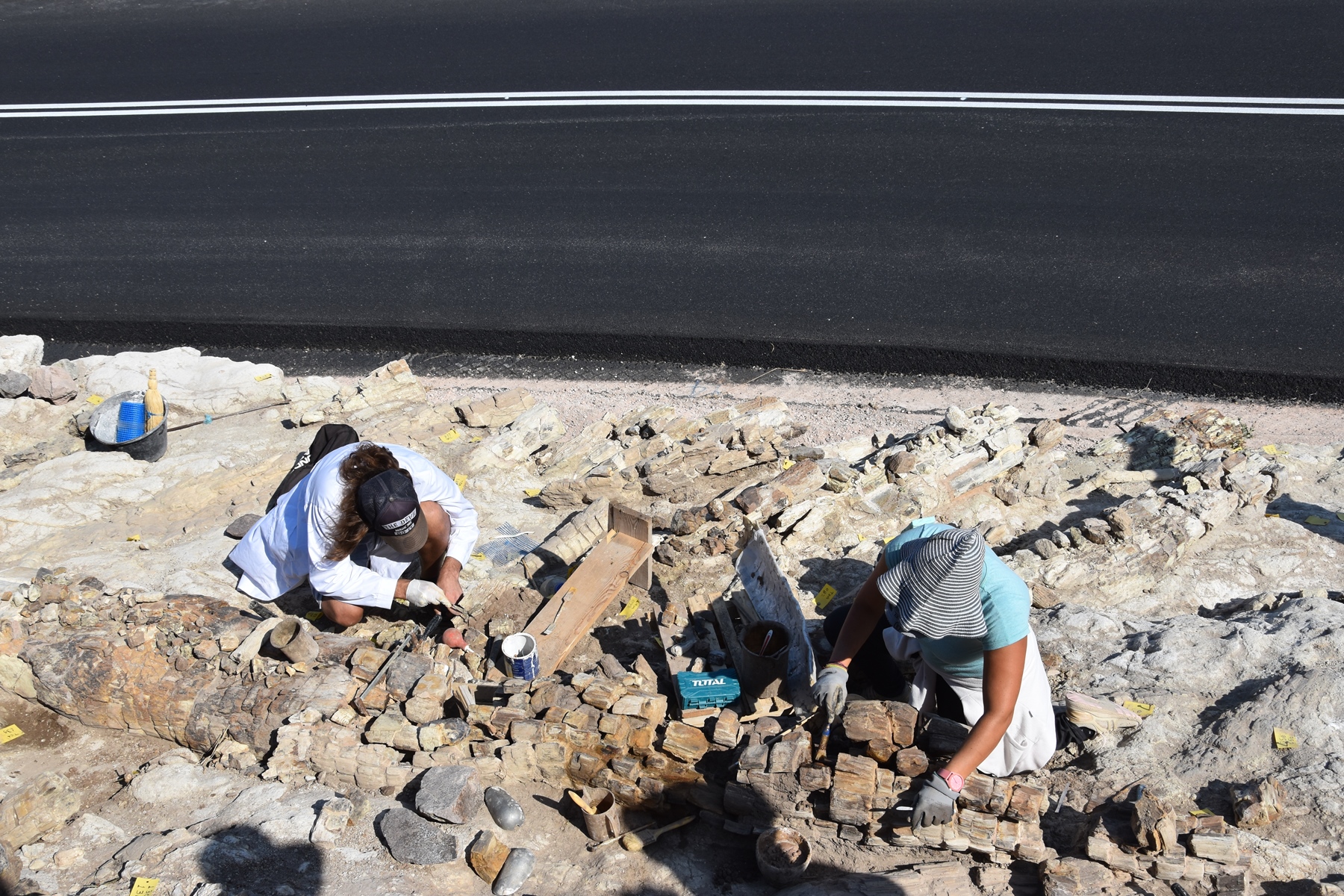 Ξεκίνησε η λειτουργία του νέου ανοικτού υπαίθριου πάρκου απολιθωμάτων στη Μυτιλήνη