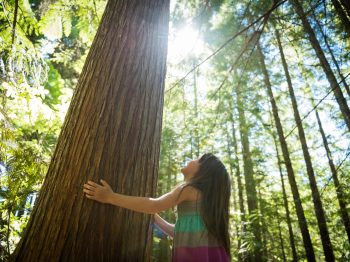 "Λιγότερα δέντρα, σημαίνει χαμηλότερη ποιότητα αέρα που εισπνέουμε" - Γιατί είναι πλέον αναγκαίοι οι «πνεύμονες» πρασίνου