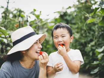 Τα παιδιά στην Ιαπωνία είναι τα πιο υγιή στον κόσμο: Τι τους μαθαίνουν οι γονείς τους από μικρή ηλικία;