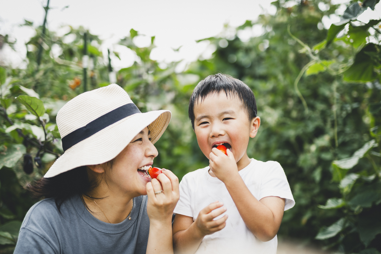 Τα παιδιά στην Ιαπωνία είναι τα πιο υγιή στον κόσμο: Τι τους μαθαίνουν οι γονείς τους από μικρή ηλικία;