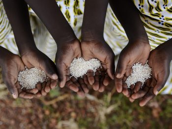 27 εκατομμύρια παιδιά σε 12 χώρες βίωσαν οξεία επισιτιστική ανασφάλεια λόγω της κλιματικής αλλαγής το 2022