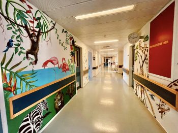 Τρεις γυναίκες μεταμόρφωσαν την παιδιατρική κλινική του γενικού νοσοκομείου Ξάνθης ζωγραφίζοντας τους διαδρόμους και τους θαλάμους νοσηλείας
