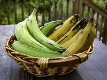 Πλατέινς: Μοιάζουν με τις μπανάνες και είναι η 10η πιο σημαντική βασική τροφή στον κόσμο σήμερα