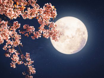 Πανσέληνος Απριλίου 2024: Πότε θα δούμε το "Ροζ Φεγγάρι"