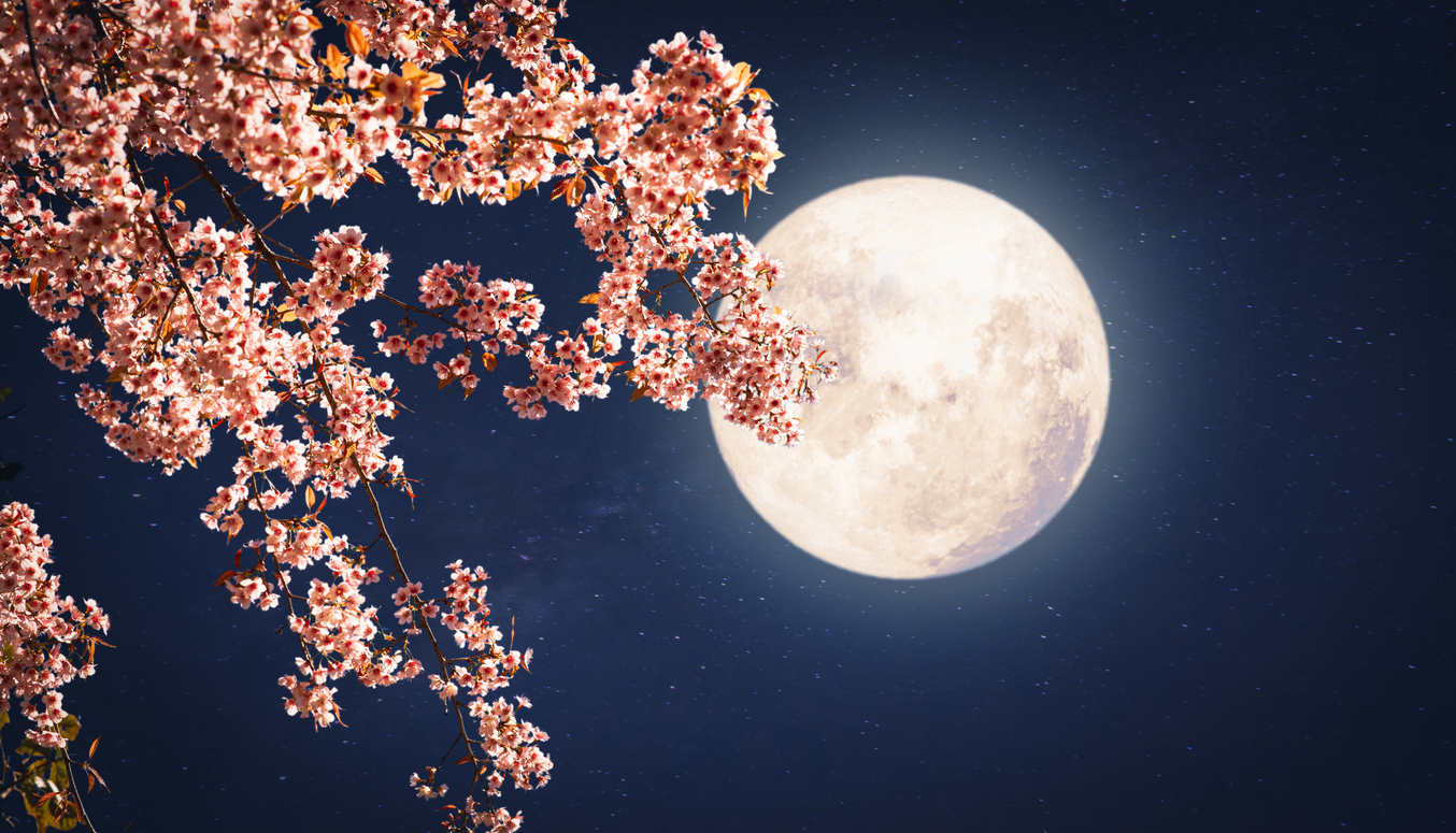 Πανσέληνος Απριλίου 2024: Πότε θα δούμε το "Ροζ Φεγγάρι"
